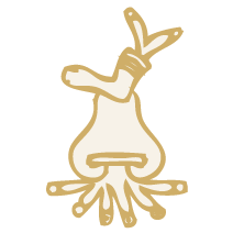 Ayuntamiento de Texcoco